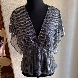 Dress Forum Silver Sheer Blouse